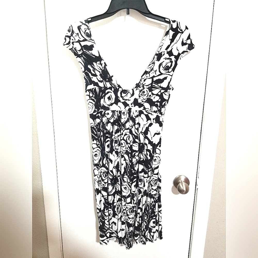 Express Dress - Picture 3 of 3